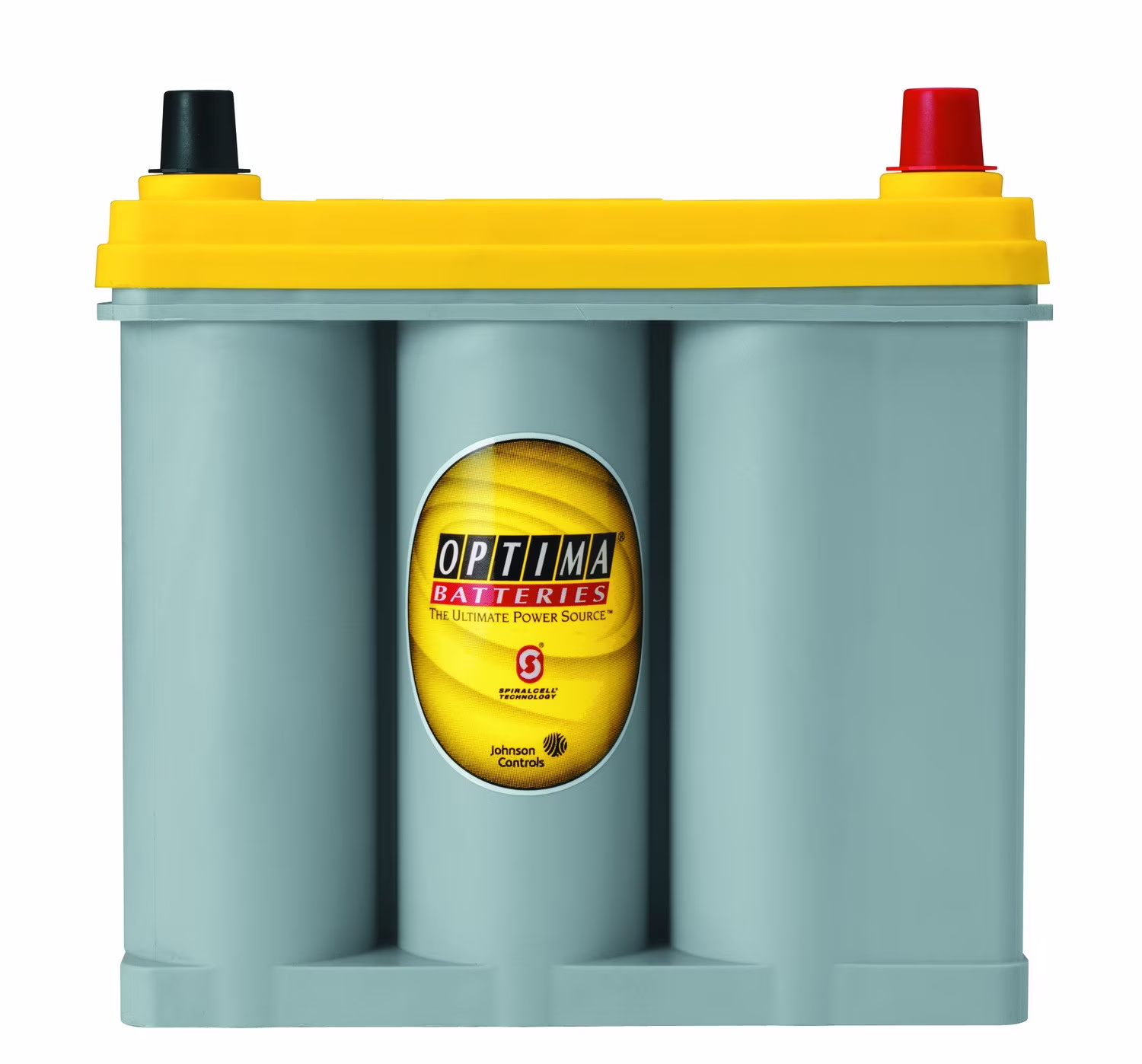 ONLINE Dual Purpose 12 Volt Automotive Battery, 450 CCA