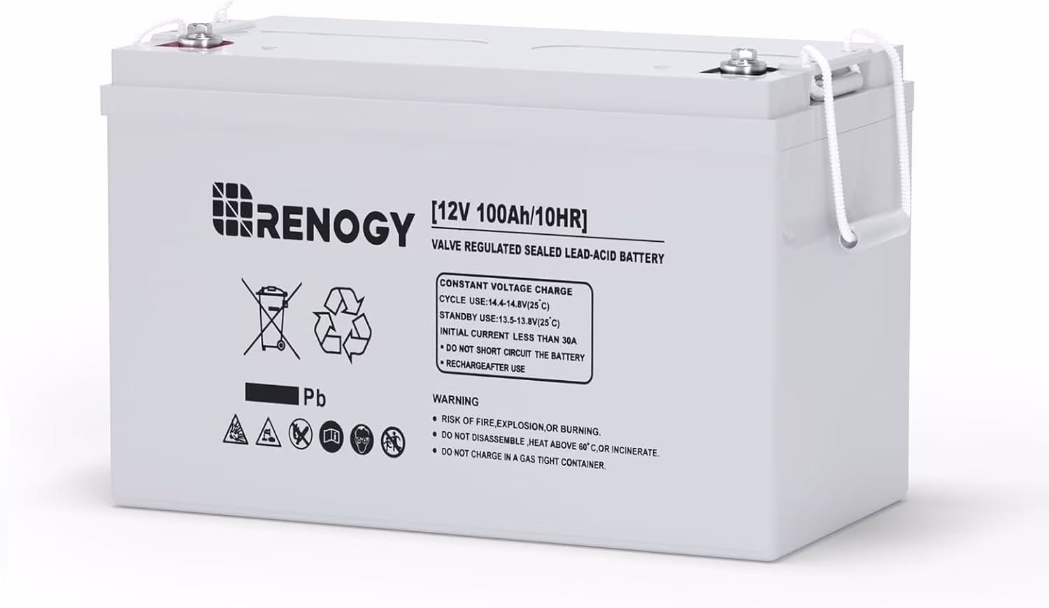 Renogy 100Ah Deep Cycle AGM Battery 12 Volt, 1100A Max Discharge Current, Safe Charge Appliances, RVs, Marine, Solar, off-Grid