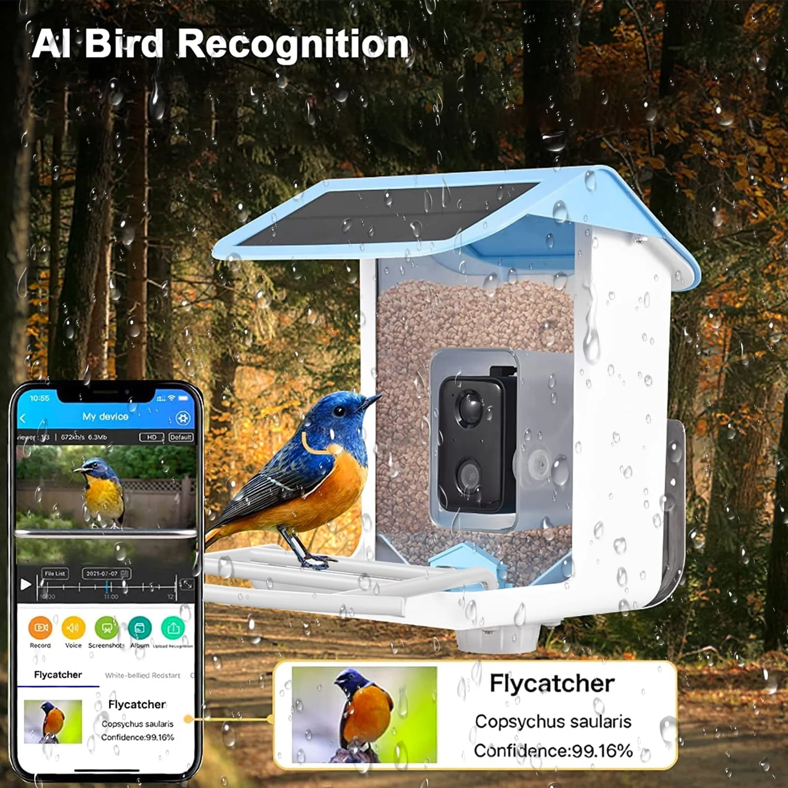 Bird Feeder with Camera, 1080HD Smart Bird Feeder with AI Identify Bird Species Night Vision for Bird Watching, Hopper Feeder