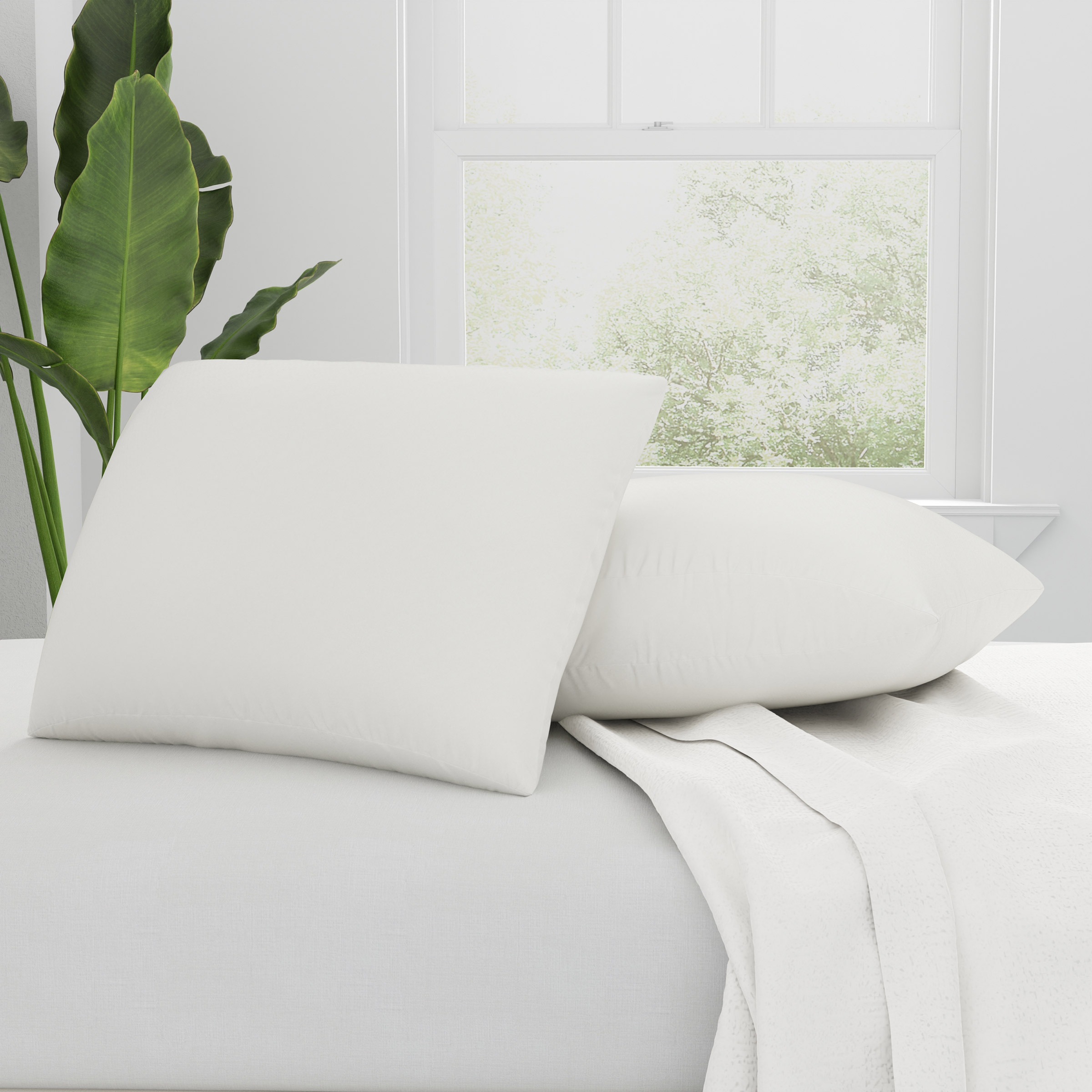 AllerEase Organic Cotton Top Allergy Protection Pillow, 2-pack